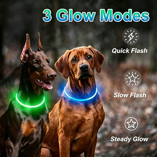USB Rechargeable LED Glow Collar for Dogs