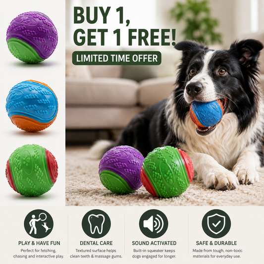Squeaky Dog Chew Ball