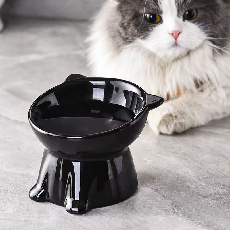 Black raised tilted cat bowl with a cat in the background