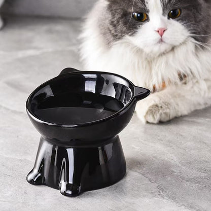 Black raised tilted cat bowl with a cat in the background