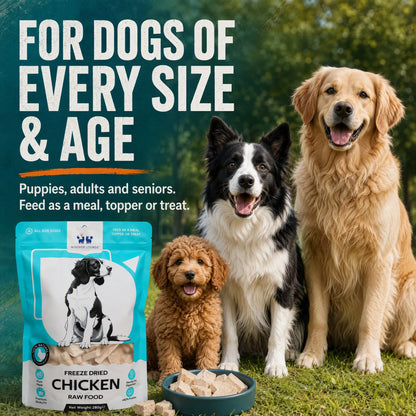 PurePaws Freeze-Dried Dog Treats 280g