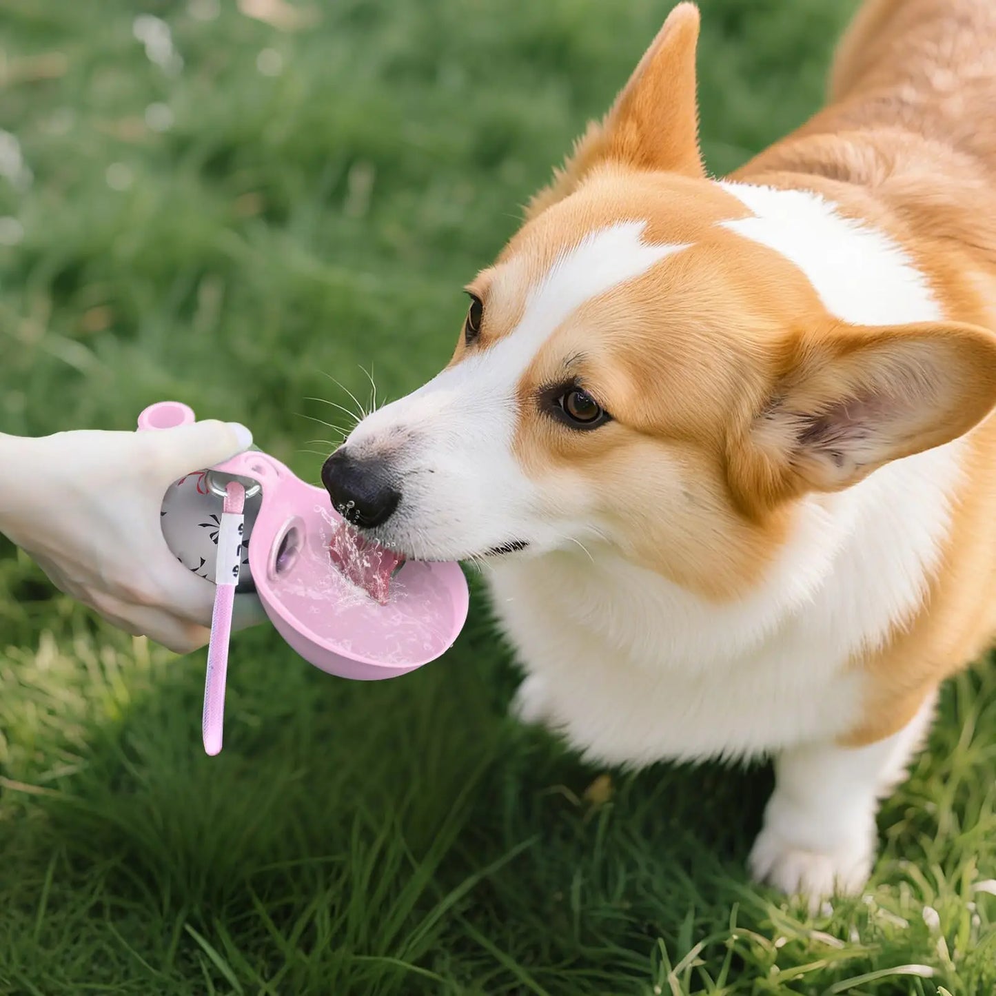 PawSip Pet Water Bottle