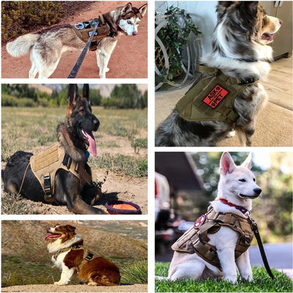 TacPro Tactical Dog Harness