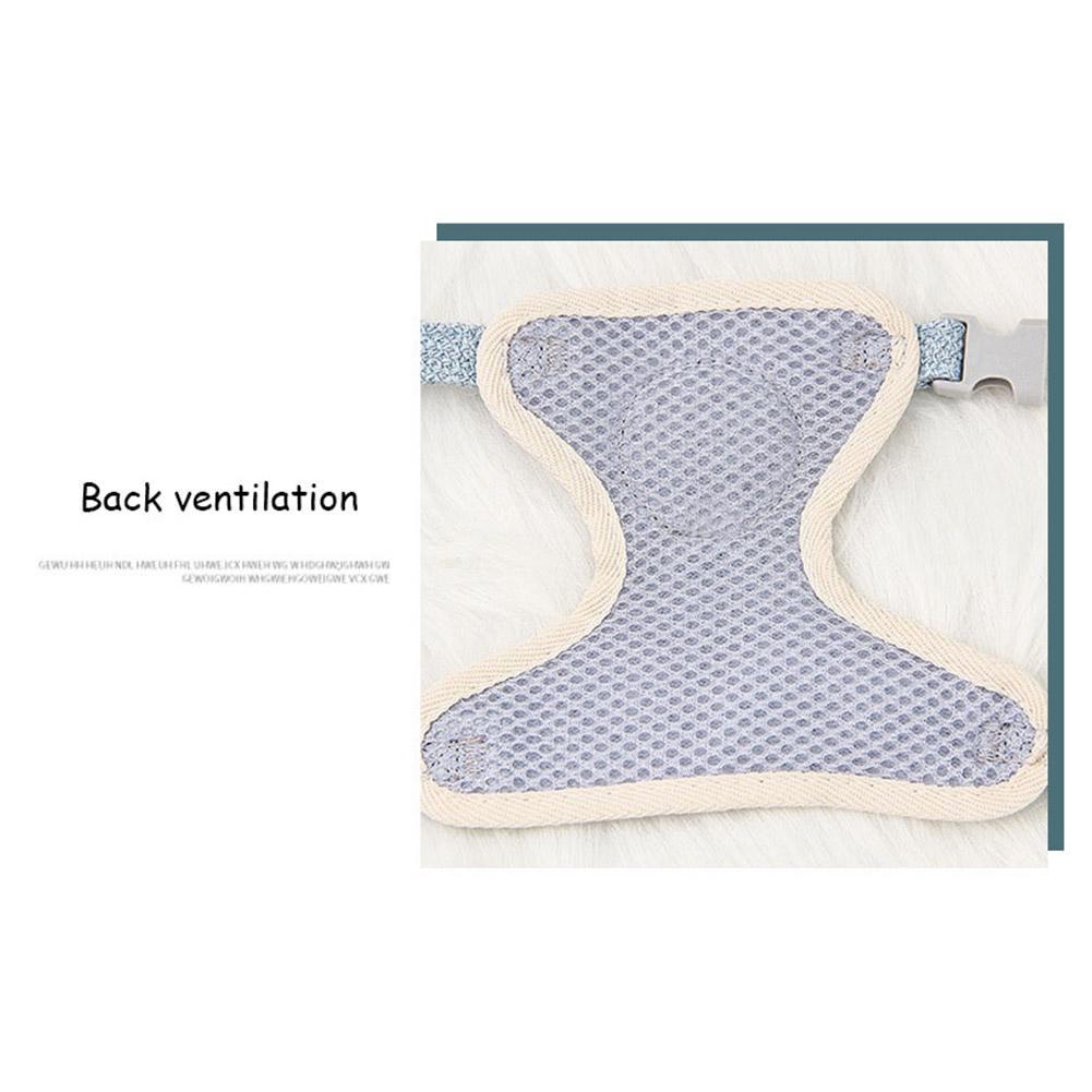 TinyTrek Pet Harness Set