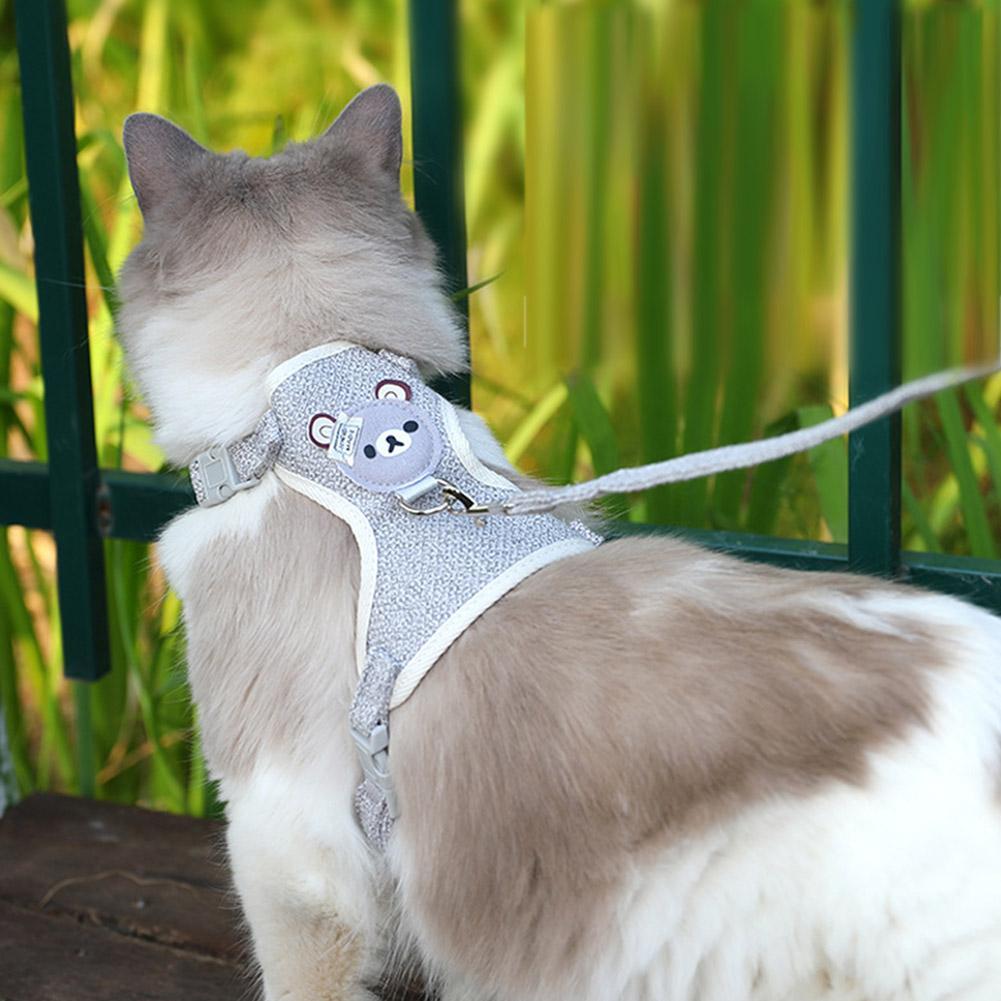 TinyTrek Pet Harness Set