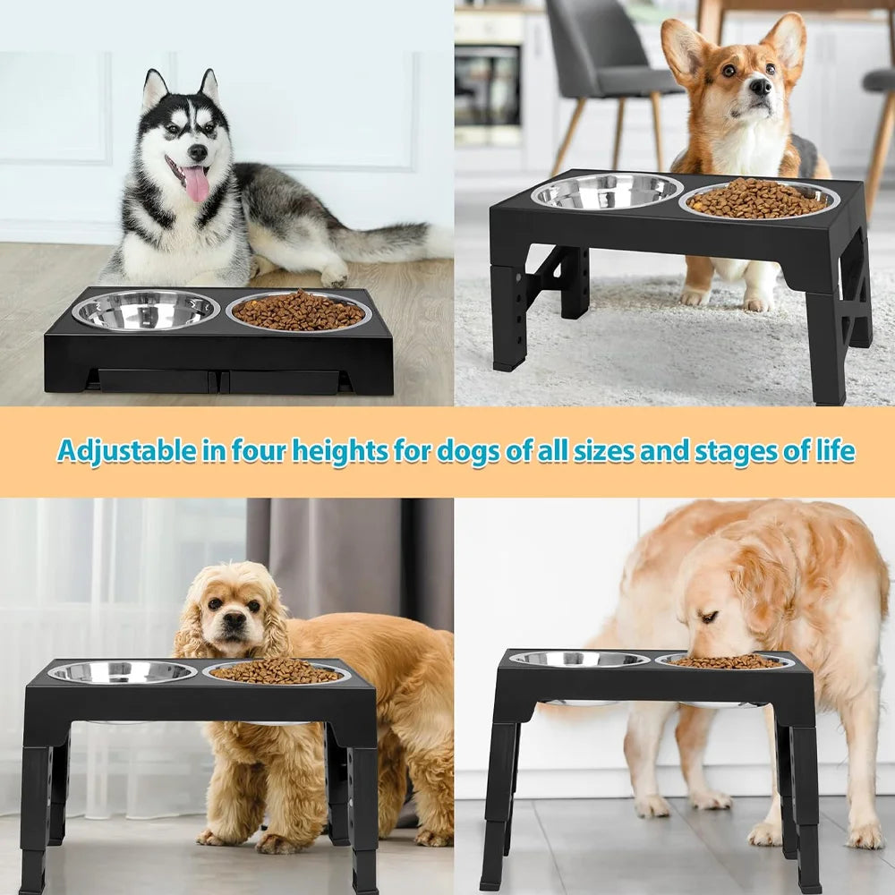 RaiseDine Elevated Dog Bowls