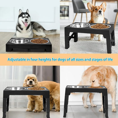 RaiseDine Elevated Dog Bowls