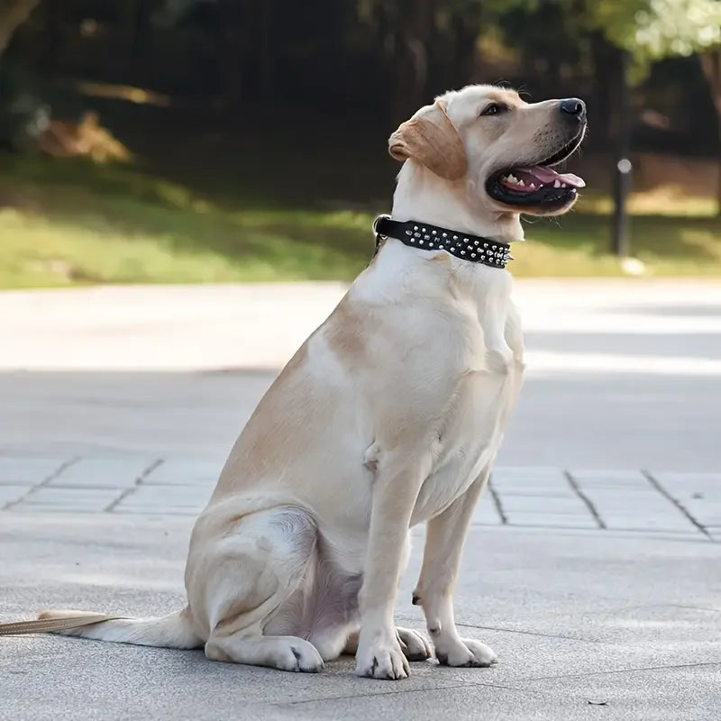 SpikeGuard Dog Collar Set