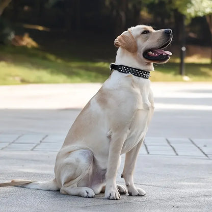 SpikeGuard Dog Collar Set