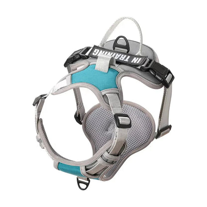 NightGuard Reflective Padded Vest Harness