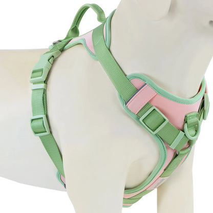EasyStride No-Pull Dog Harness