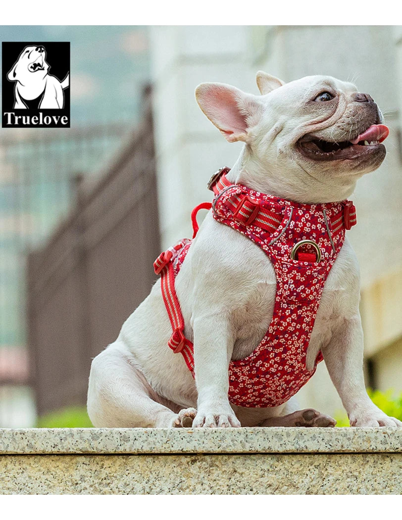 BloomTrail Floral No-Pull Dog Harness