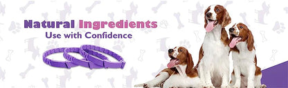 CalmCollar Pheromone Set