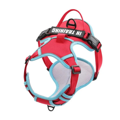 NightGuard Reflective Padded Vest Harness
