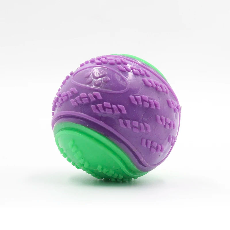 Squeaky Dog Chew Ball