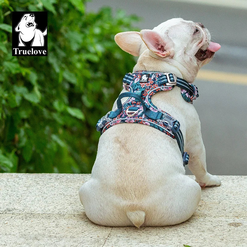 BloomTrail Floral No-Pull Dog Harness