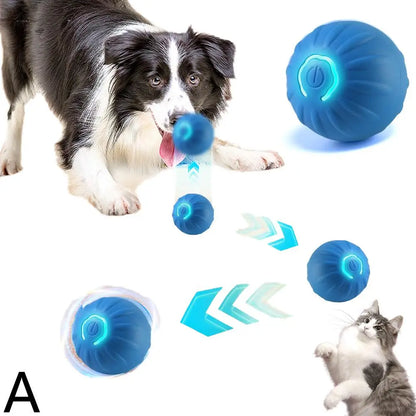 Interactive Motion-Activated Dog Ball Toy