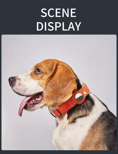 SafeTrack Reflective Dog Collar with AirTag Holder
