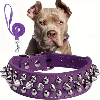 SpikeGuard Dog Collar Set