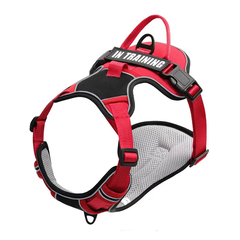NightGuard Reflective Padded Vest Harness