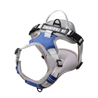 NightGuard Reflective Padded Vest Harness