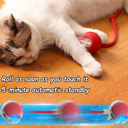 Interactief rollend speelgoed voor katten en honden