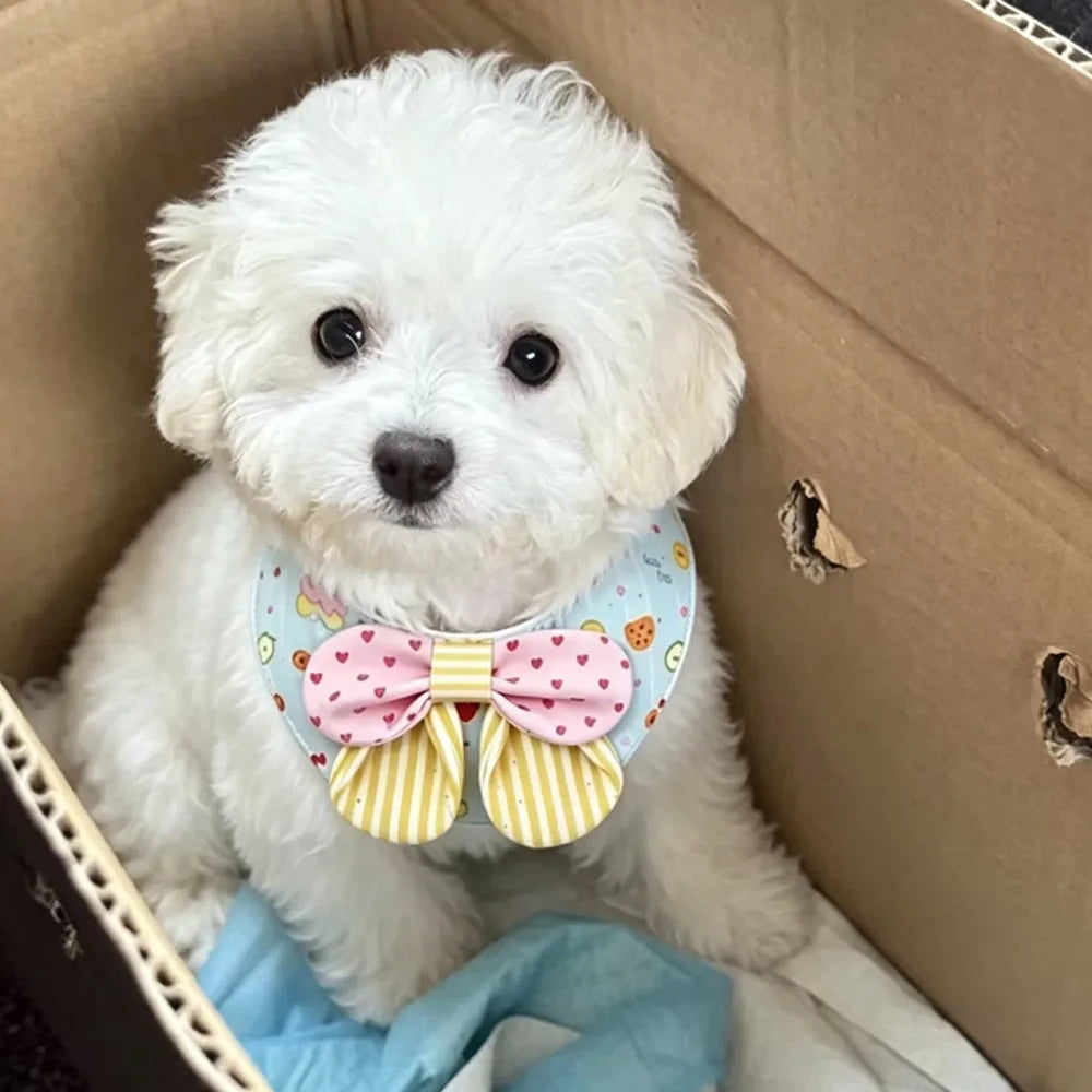 DapperPup Bow Tie Bandana