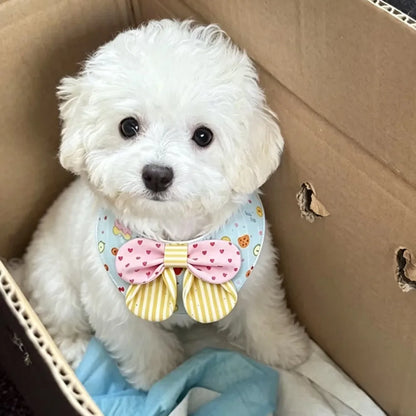 DapperPup Bow Tie Bandana