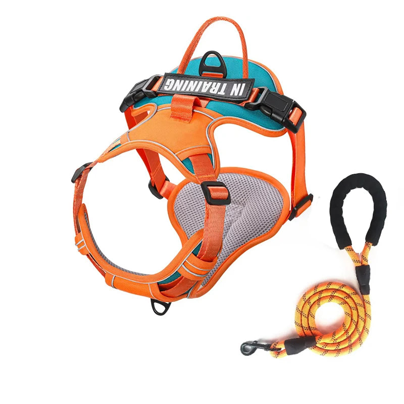 NightGuard Reflective Padded Vest Harness