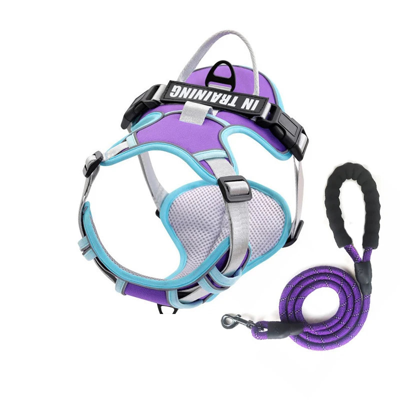 NightGuard Reflective Padded Vest Harness