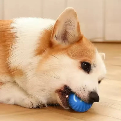 Rechargeable Automatic Rolling Ball Dog Toy
