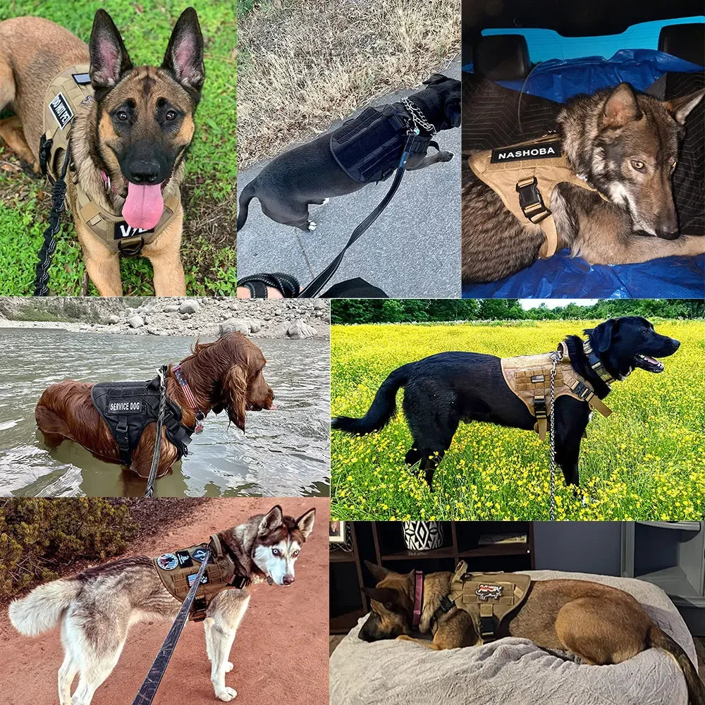 TacPro Tactical Dog Harness