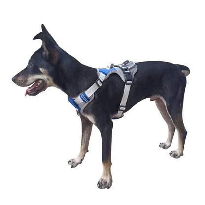 NightGuard Reflective Padded Vest Harness