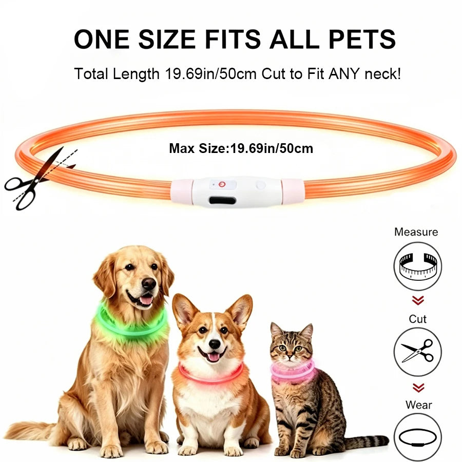 USB Rechargeable LED Glow Collar for Dogs