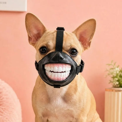 Grinning Dog Muzzle