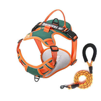 NightGuard Reflective Padded Vest Harness
