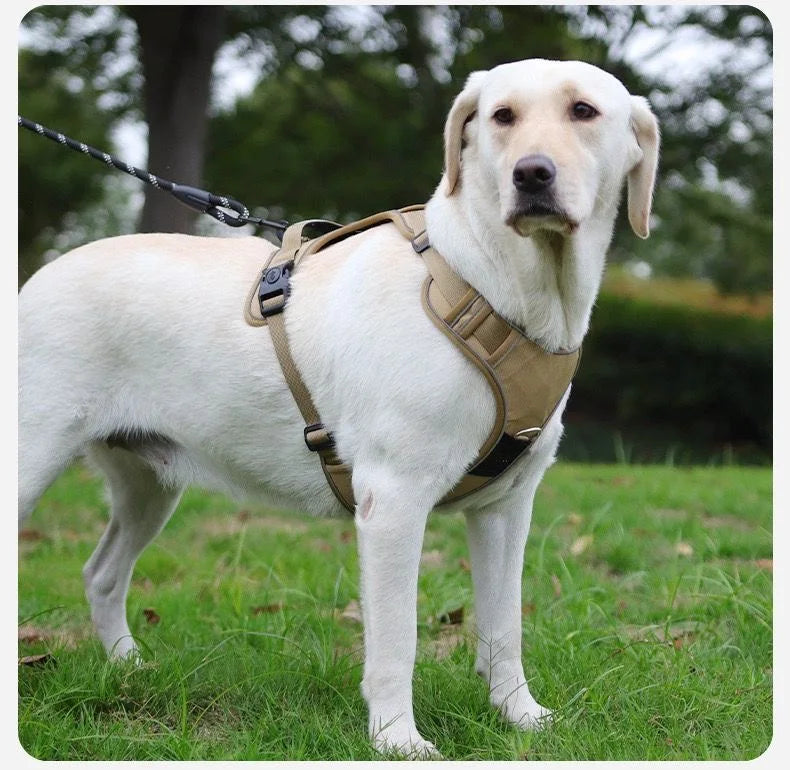 TrackSafe Harness & Lead Set with AirTag Holder