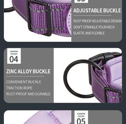 SafeTrack Reflective Dog Collar with AirTag Holder