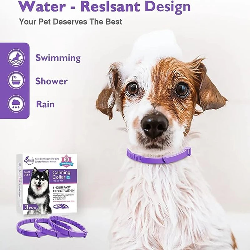 CalmCollar Pheromone Set