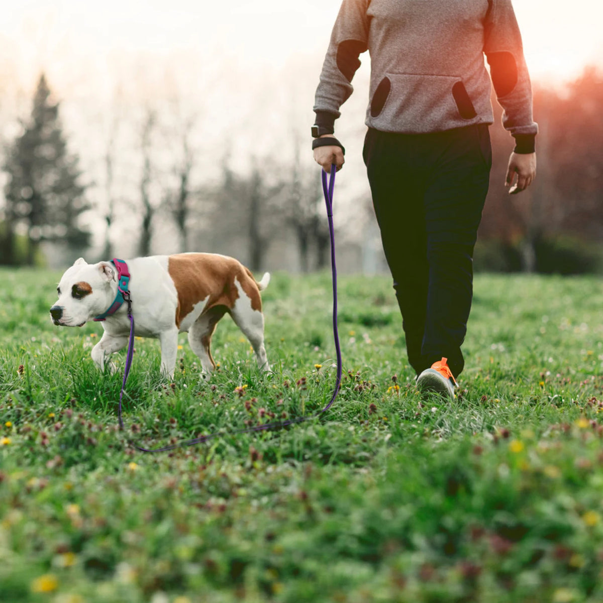 TrailRun Long Line Dog Lead (up to 15m)