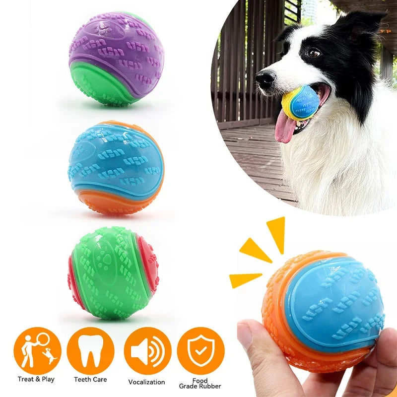 Squeaky Dog Chew Ball