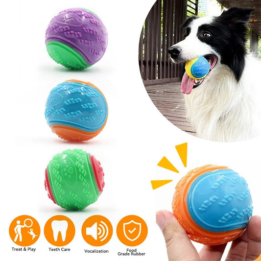 Squeaky Dog Chew Ball