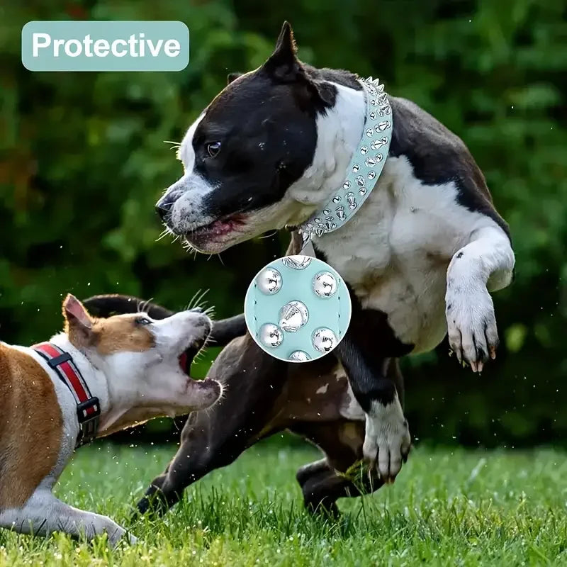 SpikeGuard Dog Collar Set