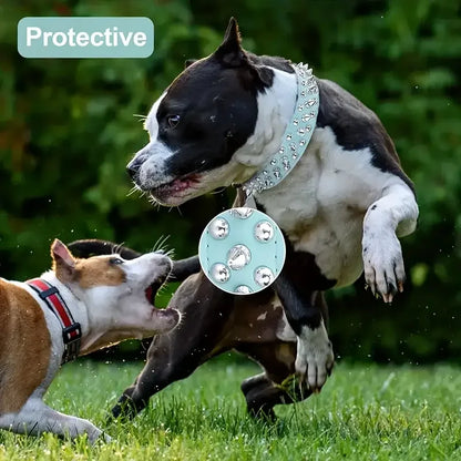 SpikeGuard Dog Collar Set