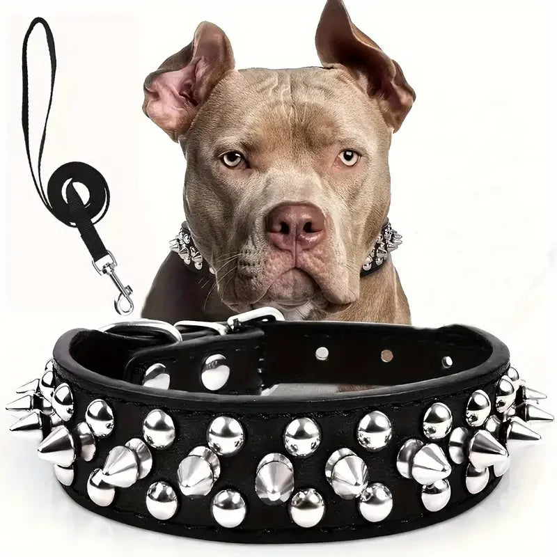 SpikeGuard Dog Collar Set