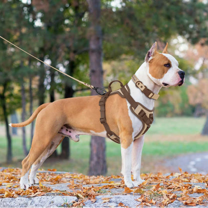 EasyStride No-Pull Dog Harness