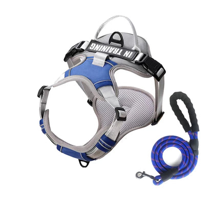 NightGuard Reflective Padded Vest Harness