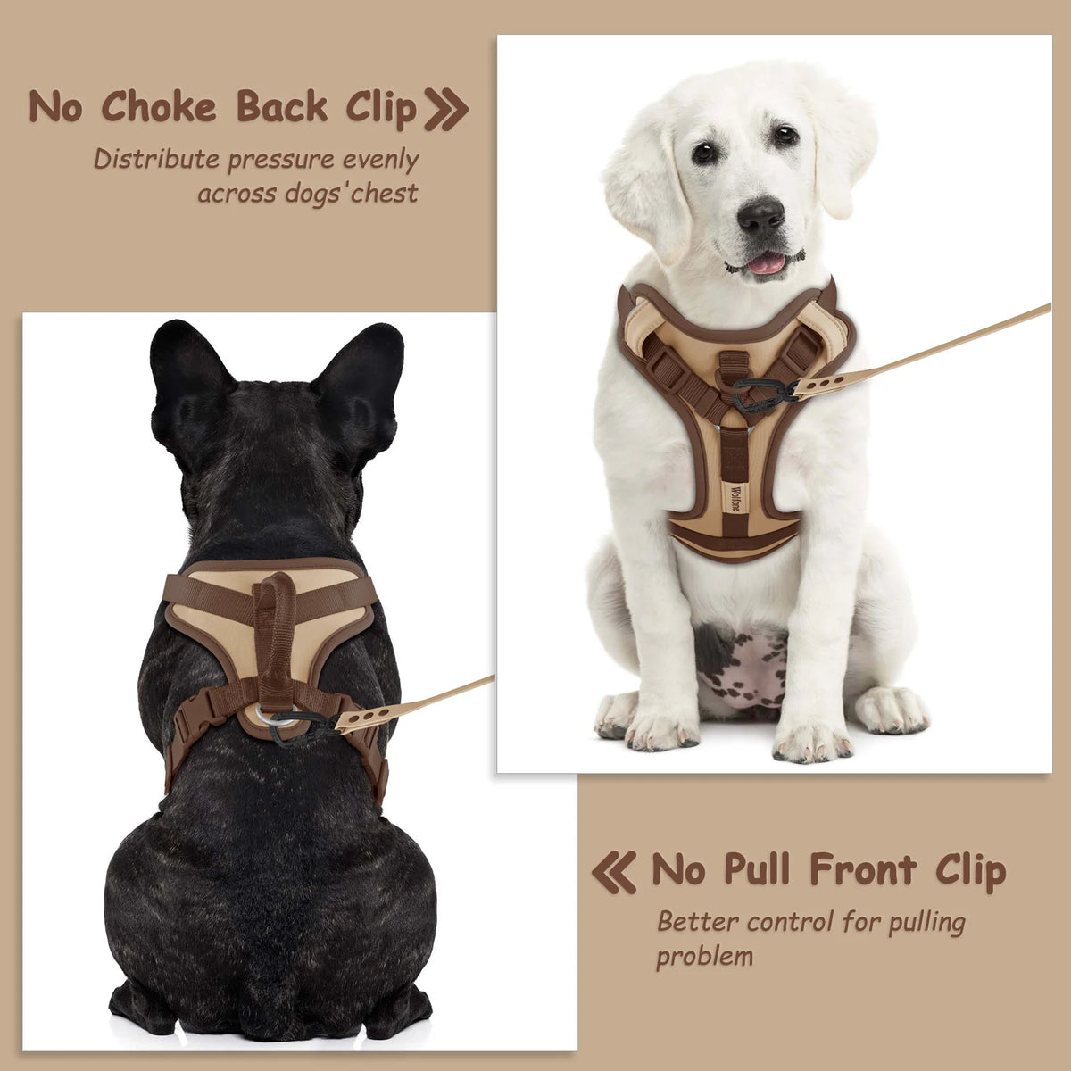 EasyStride No-Pull Dog Harness
