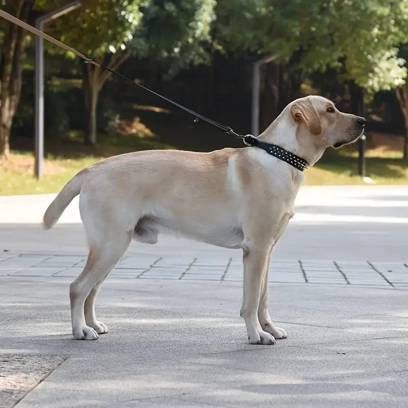 SpikeGuard Dog Collar Set