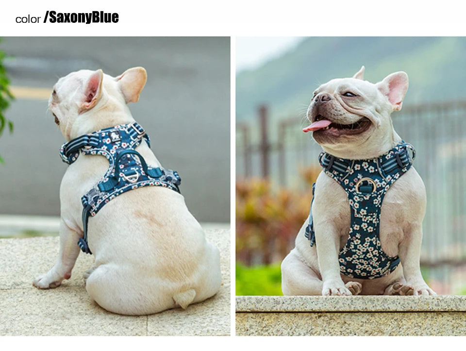 BloomTrail Floral No-Pull Dog Harness